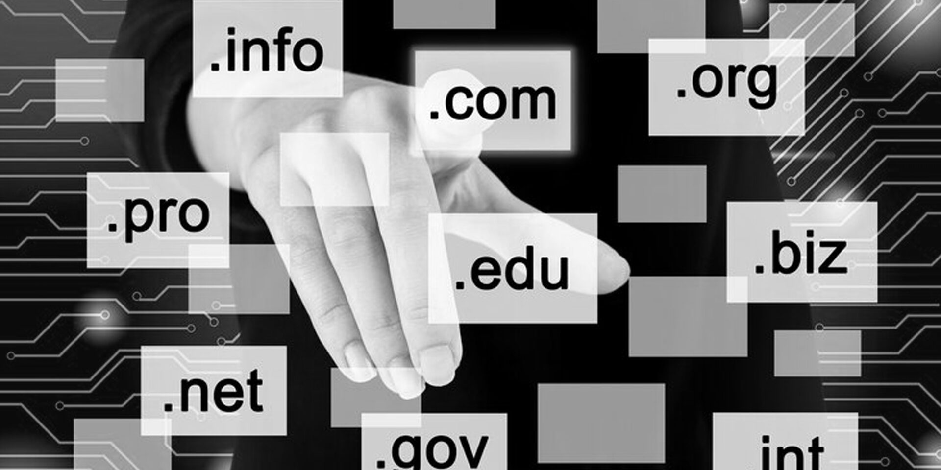 Decoding Domain Names