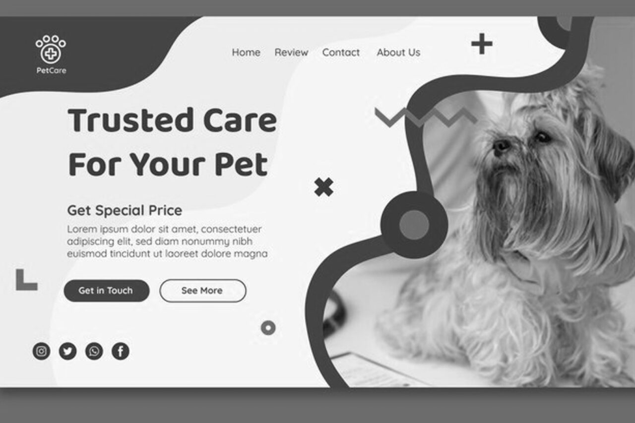 VETERINARY CLINIC WEBSITE DESIGN COST