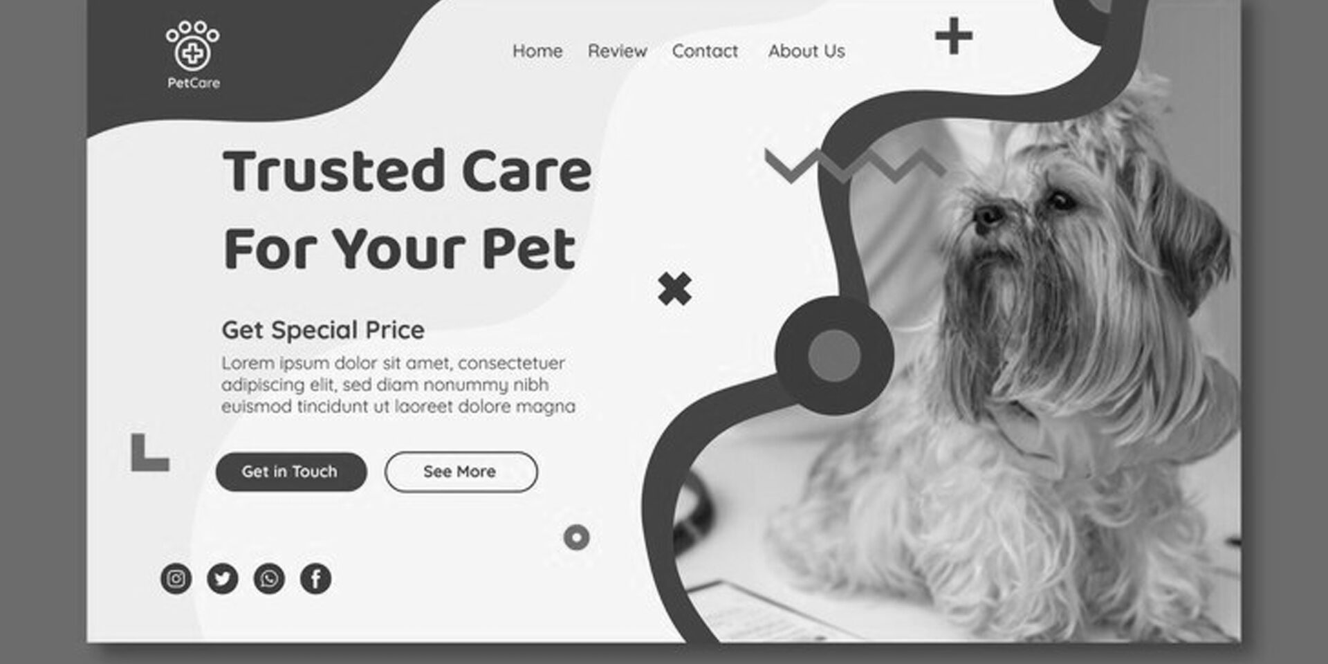 VETERINARY CLINIC WEBSITE DESIGN COST