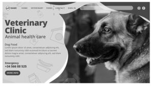 VETERINARY CLINIC WEBSITE DESIGN COST